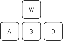 WASD keys